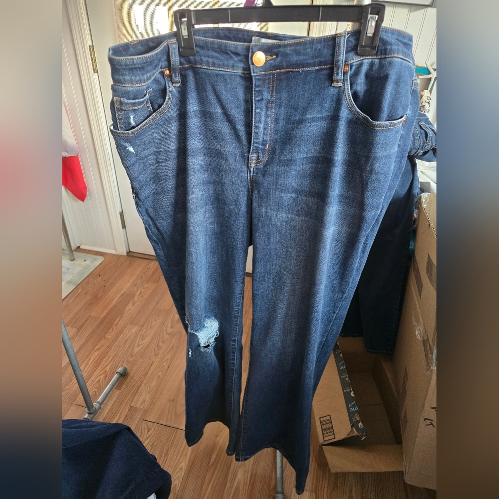 Lane Bryant Jeans Boot cut